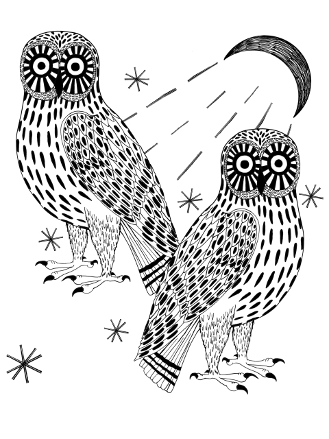 Owls 